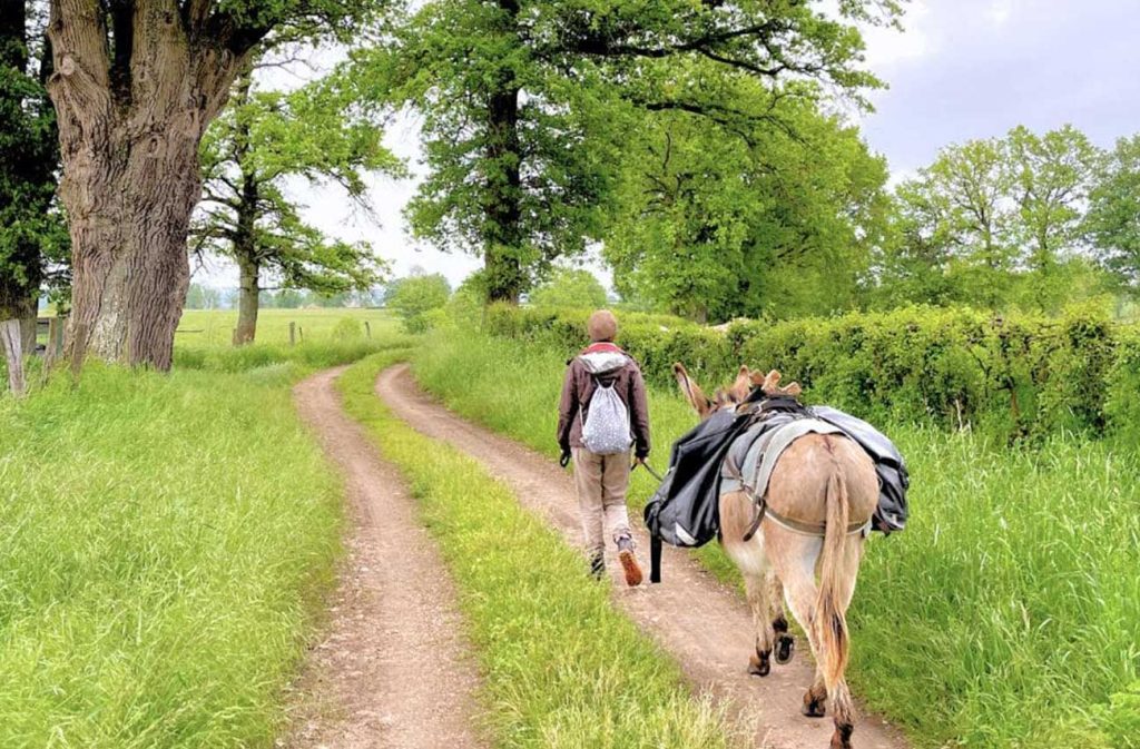 rando âne des 7 collines
