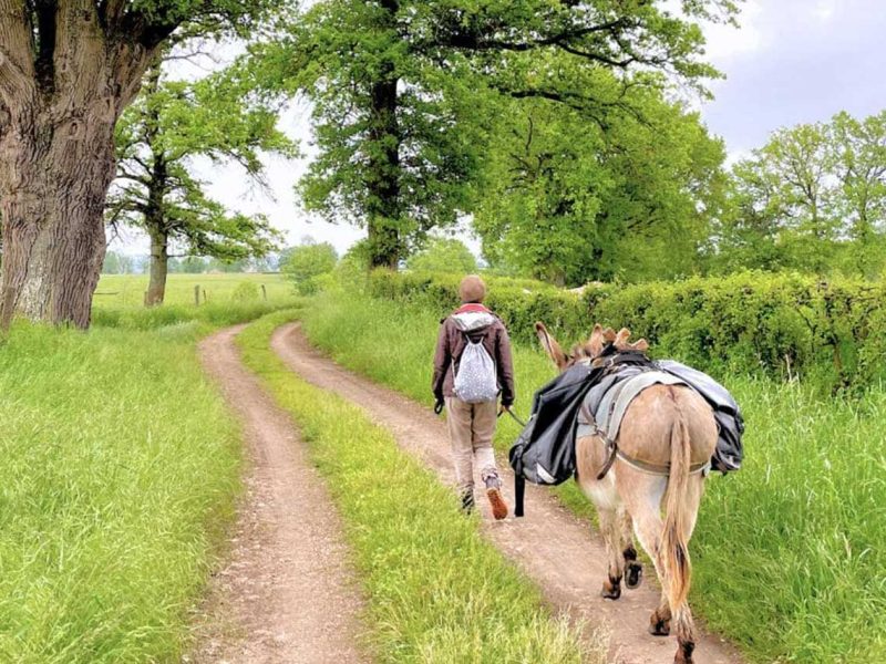 rando âne des 7 collines