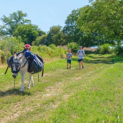 rando âne Bourgogne