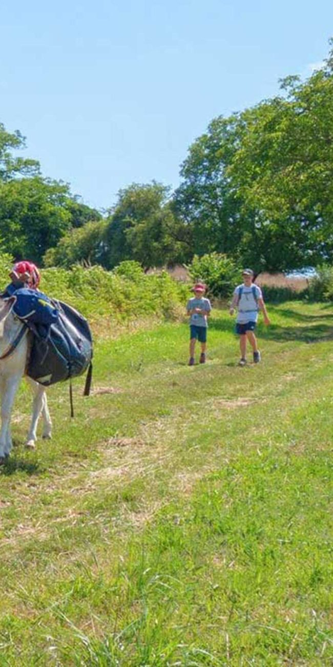 rando âne Bourgogne