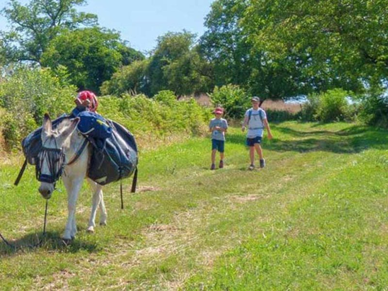 rando âne Bourgogne