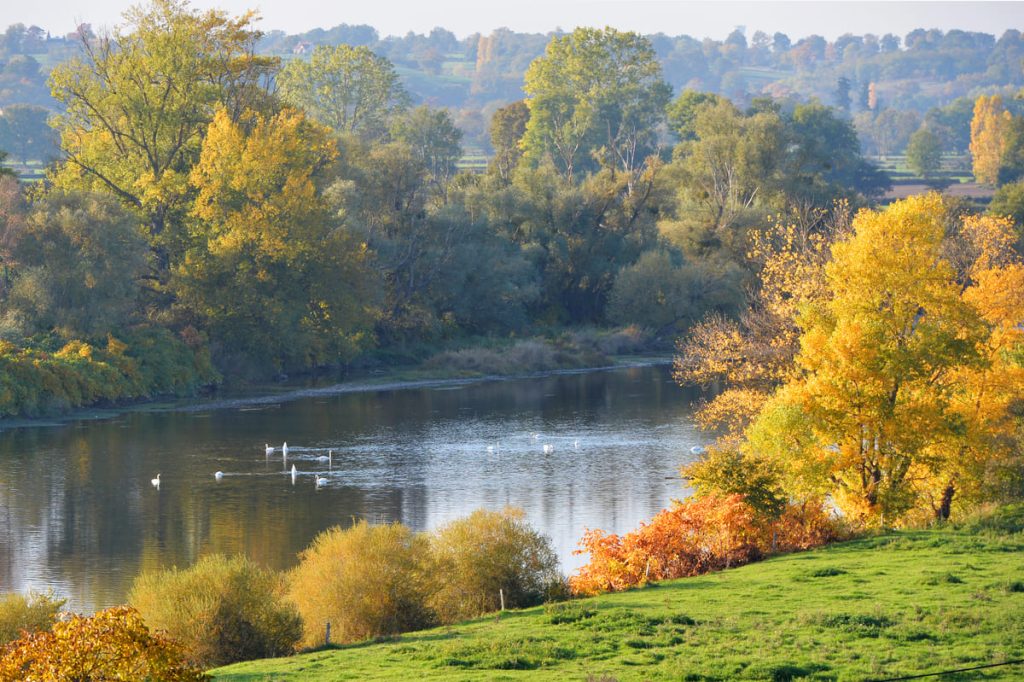 Loire Brionnais © DSL 71 Amédée de Almeida