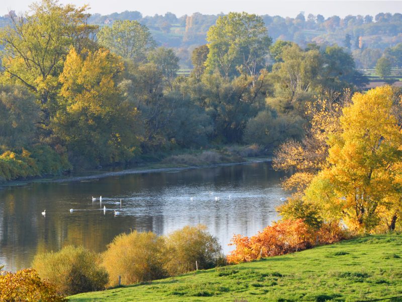 Loire Brionnais © DSL 71 Amédée de Almeida