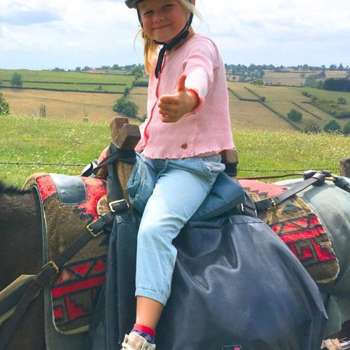 rando âne De bocage en forêt