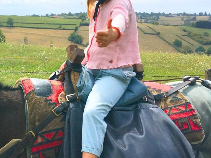 rando âne De bocage en forêt