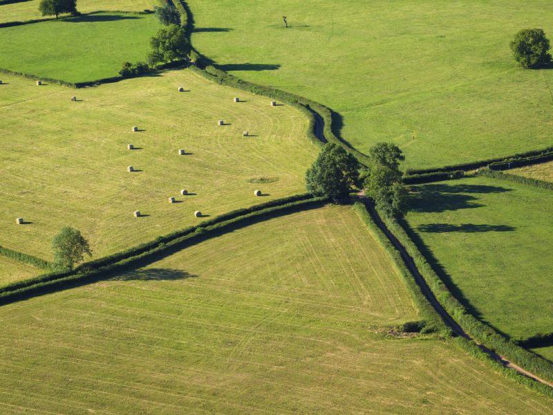 Le Brionnais © DSL 71 Ibanez Aurélien
