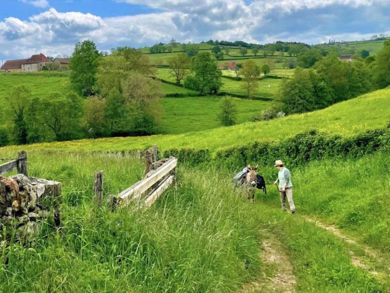 randonnée avec âne à la recherche du dahut