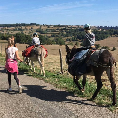 randonnée avec âne à la recherche du dahut