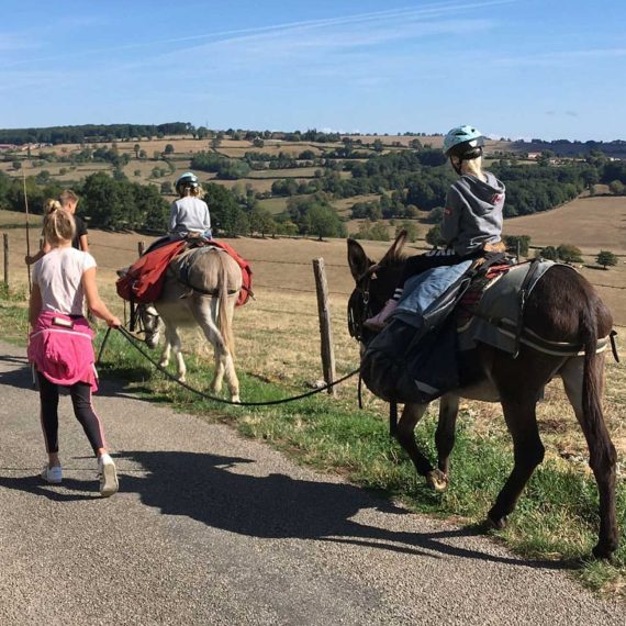 randonnée avec âne à la recherche du dahut