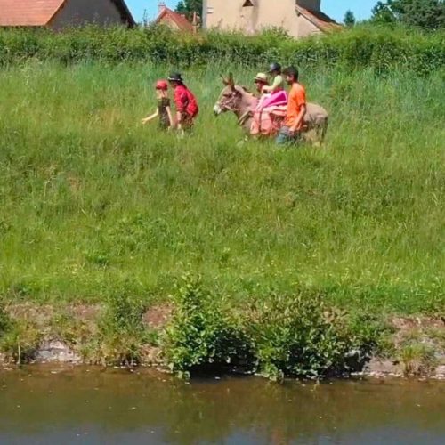 randonnée âne Au fil de l'eau