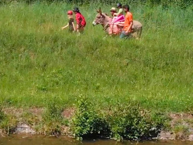 randonnée âne Au fil de l'eau