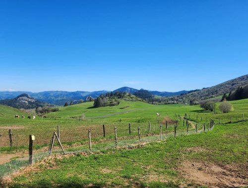 rando-ane-auvergne-09