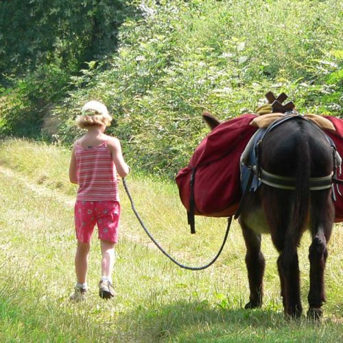 rando avec un âne en Bourgogne