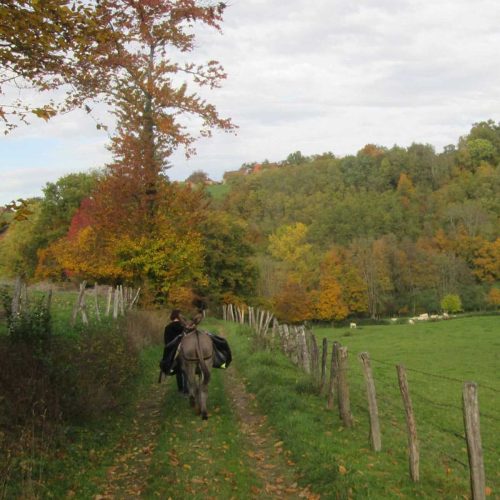 Randonnée avec un âne Balade Odyssée