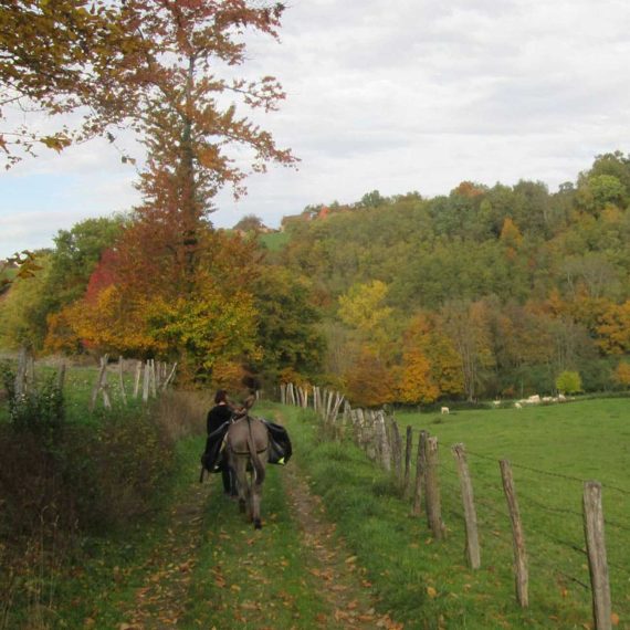 Randonnée avec un âne Balade Odyssée