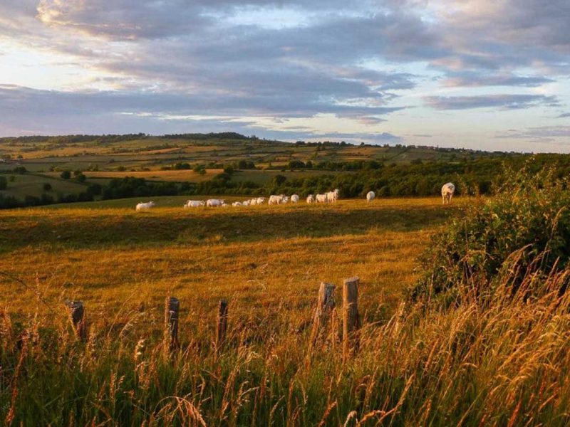 randonnée âne en famille