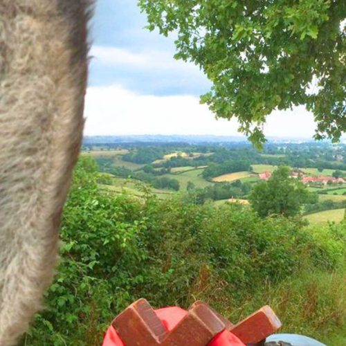 rando âne bourgogne du sud