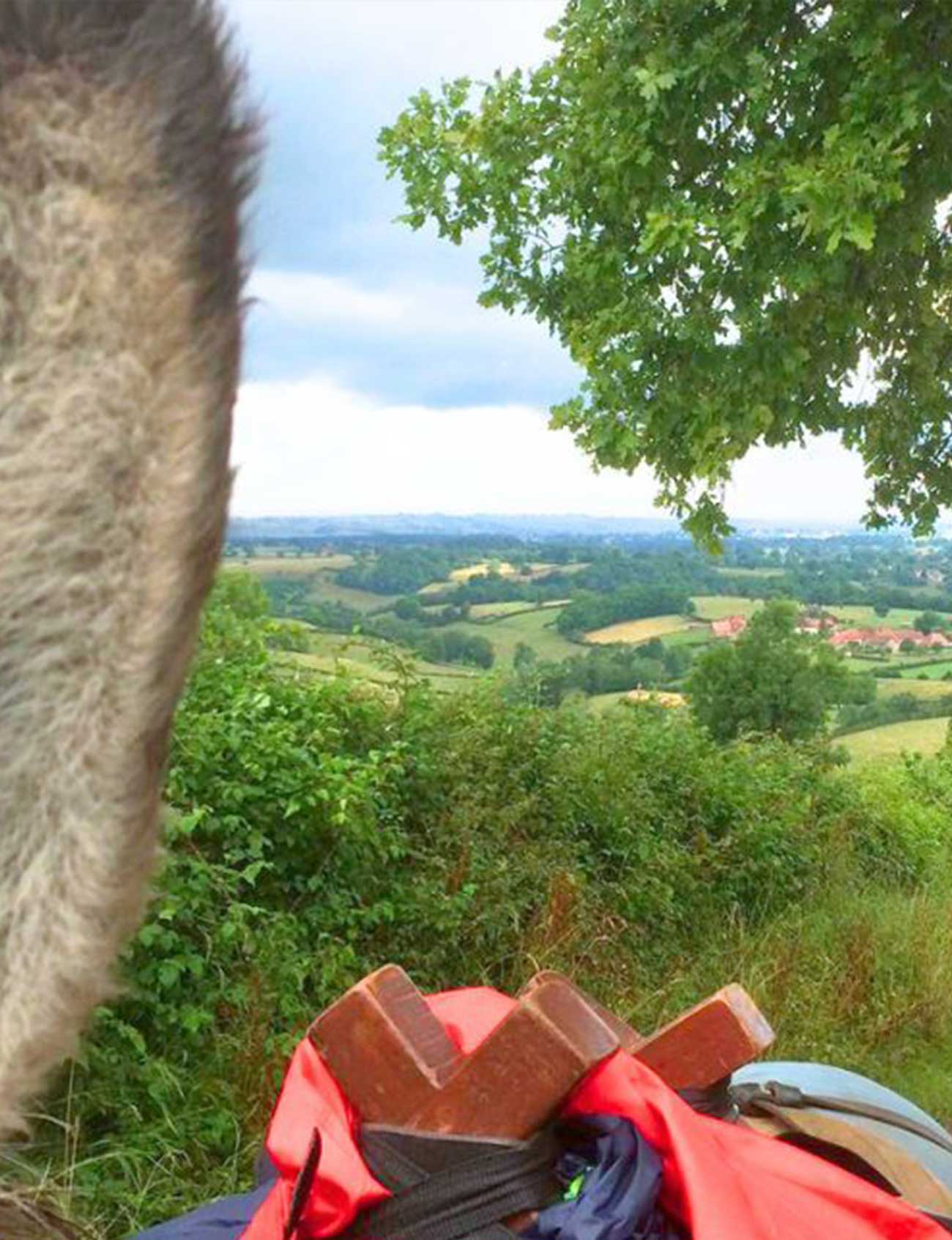 rando âne bourgogne du sud
