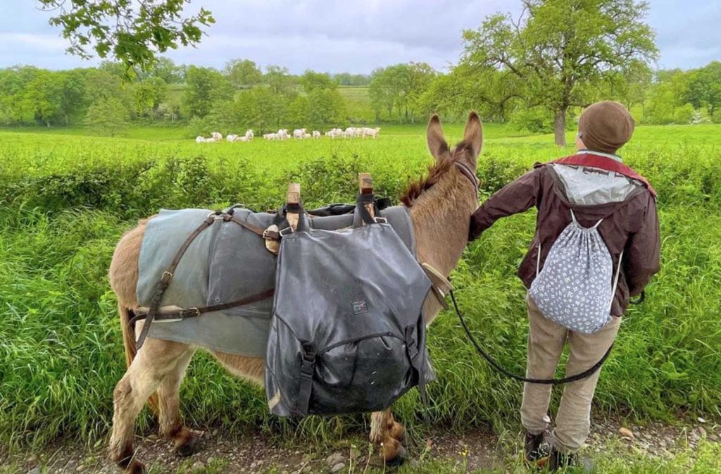 Randonnée avec un âne en Bourgogne