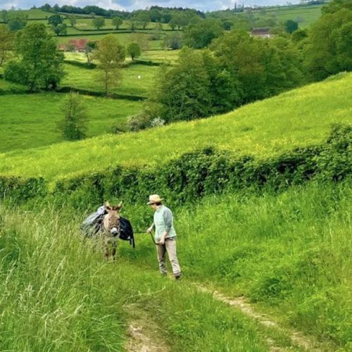 Randonnée avec un âne Ort Vert