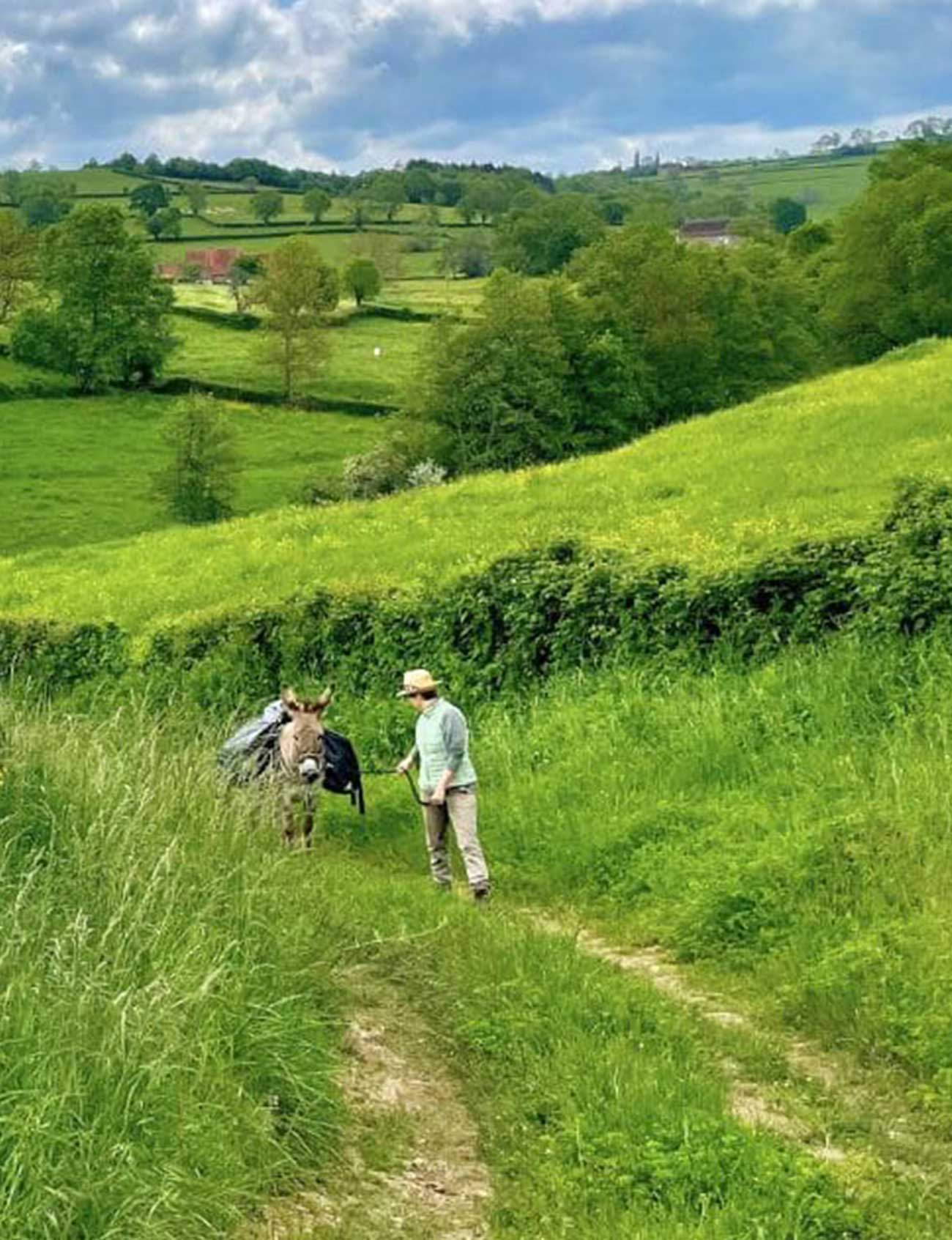 Randonnée avec un âne Ort Vert