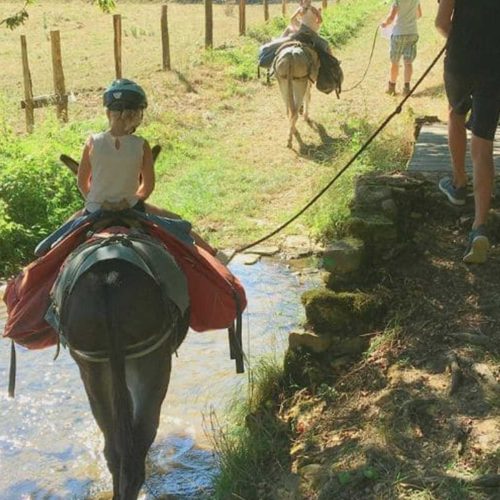 Randonnée âne Bourgogne