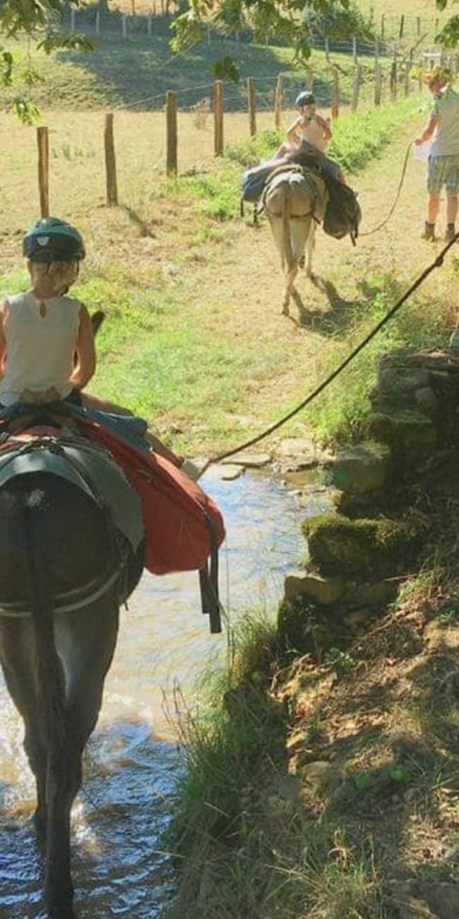 Randonnée âne Bourgogne