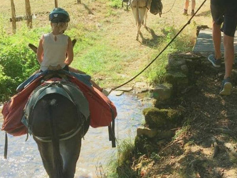 Randonnée âne Bourgogne