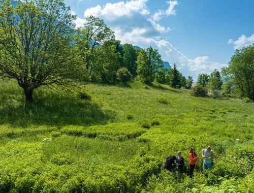 Vercors Christian Martelet - Auvergne-Rhône-Alpes Tourisme 31072028-1200
