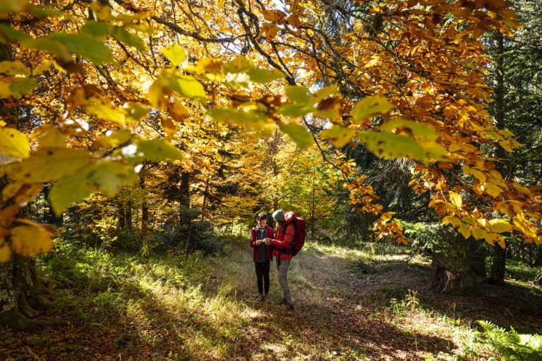 Chataigneraie Mont Dardeche © PNR M.Dupont