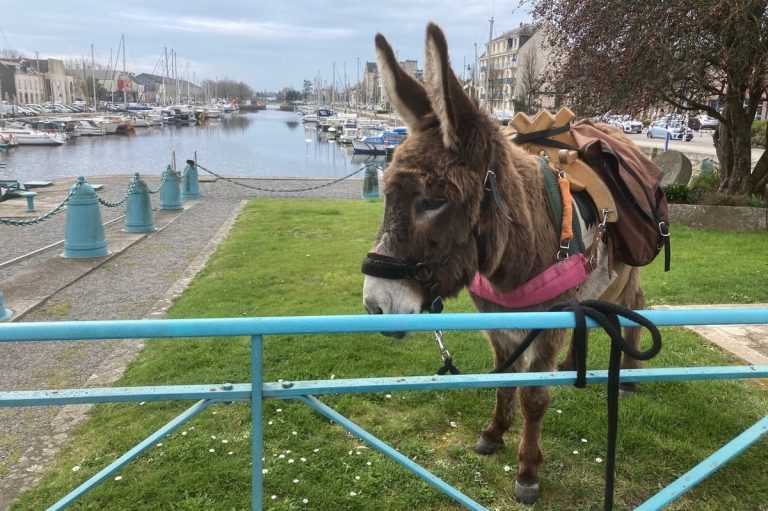 lbr-sejour-bretagne-02