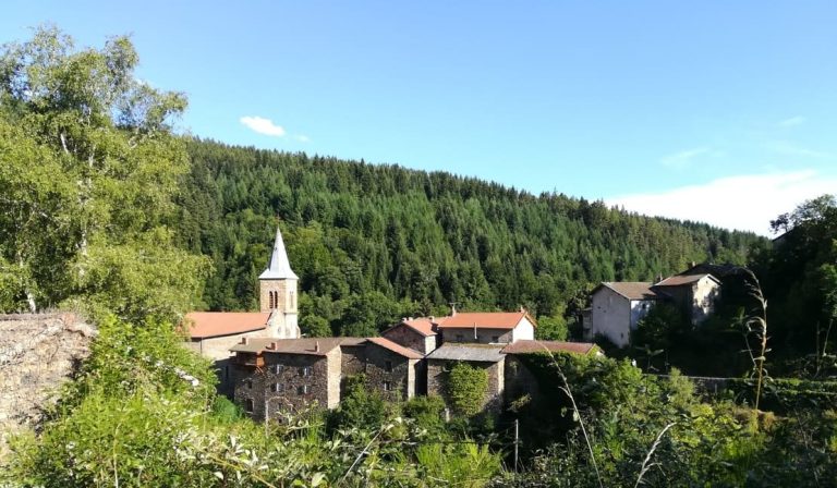 randonnee avec un ane 5 jours en Auvergne en Haute Loire avec un ane pour personne a mobilite reduite handicapee avec une escargoline