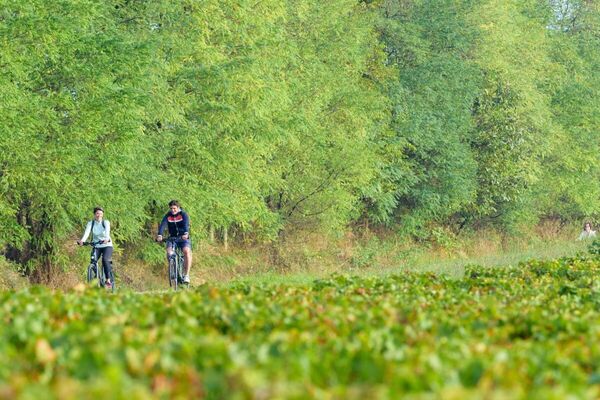 Randonnée à vélo ou vtt