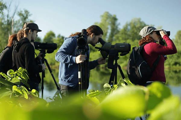 Découverte de la Faune et la Flore