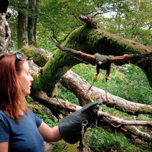 © DSL71 Les Coflocs