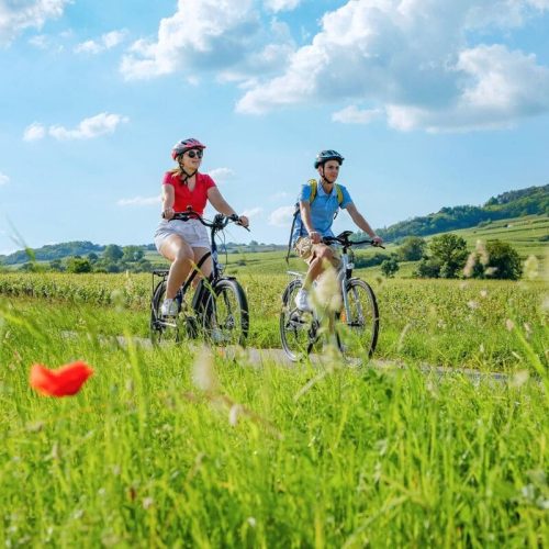 © DSL_71_Robert Famy Guillaume