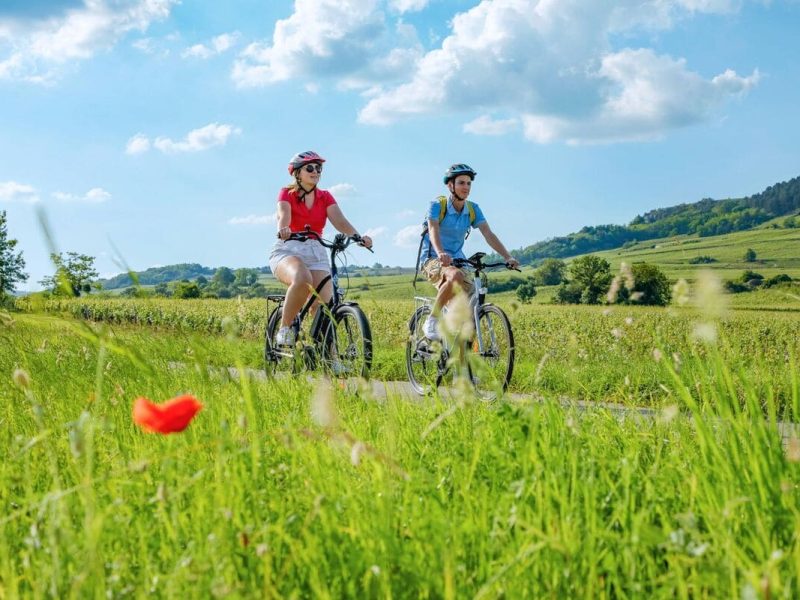 © DSL_71_Robert Famy Guillaume