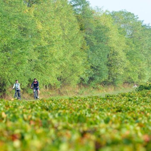 © DSL_71_Joly Michel