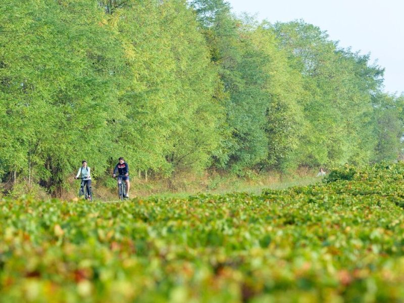 © DSL_71_Joly Michel