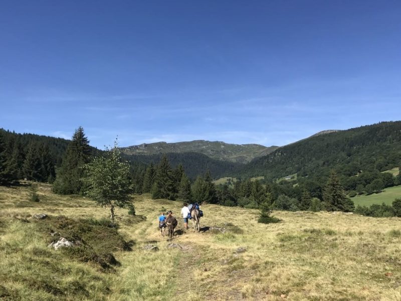 © roswitha.kepeklian