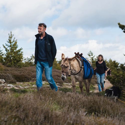 ©julien_abellan_velo_vert