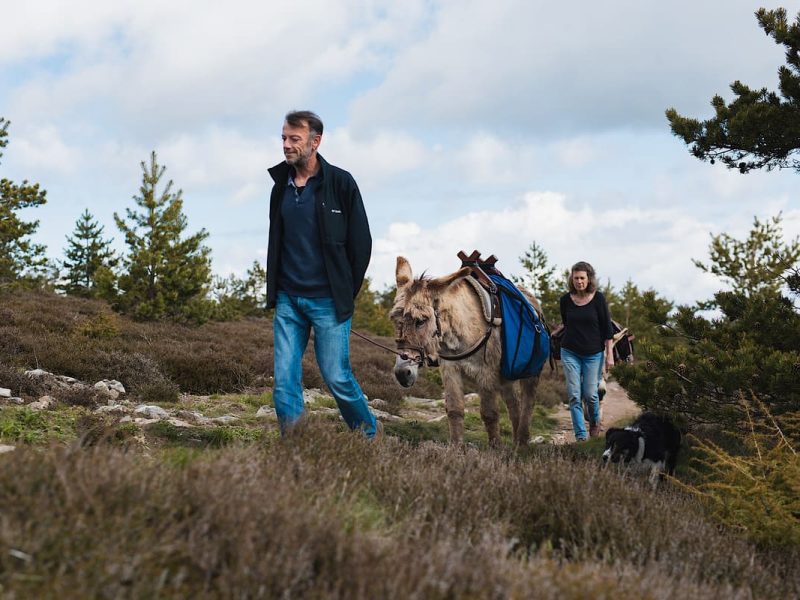 ©julien_abellan_velo_vert