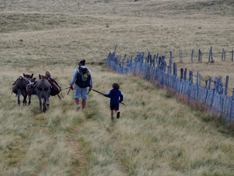 © roswitha.kepeklian