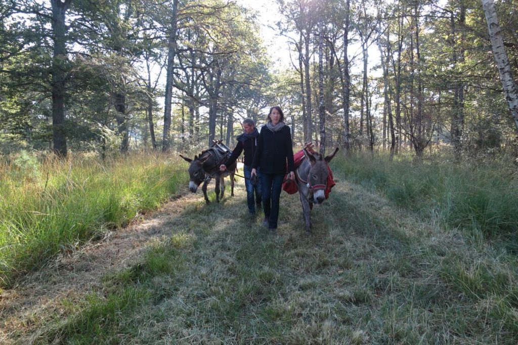 Les_Anes_de_Madame_0294_CRTCentreValdeLoire-1200