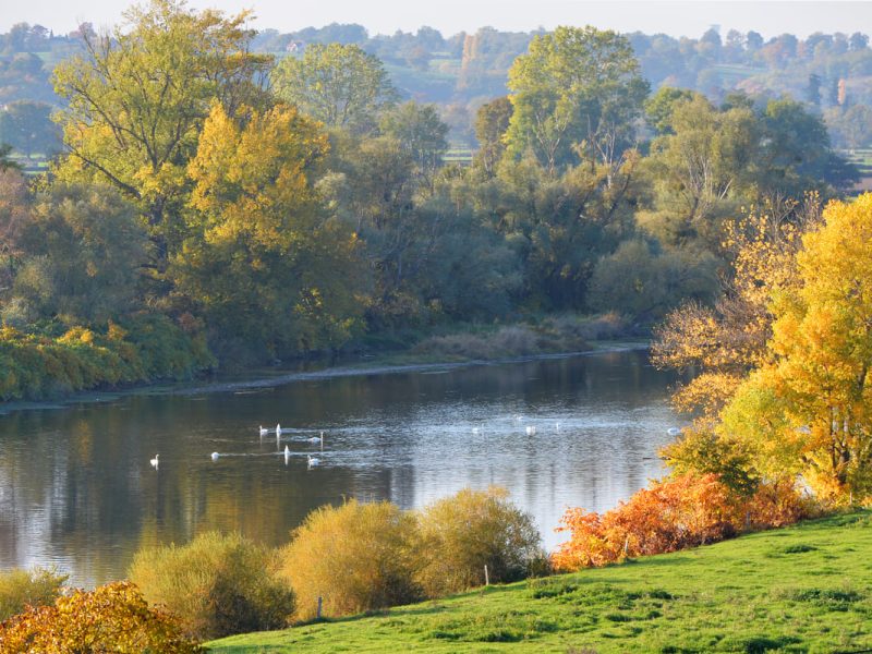 ©Amédée de Almeida - DSL71