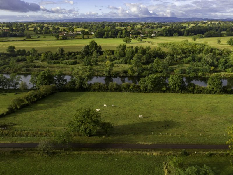 ©Robert-Famy Guillaume - DSL 71