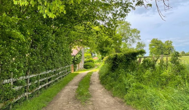 Paysage_chemin_brionnais_charolais_bourgogne_2JAPED