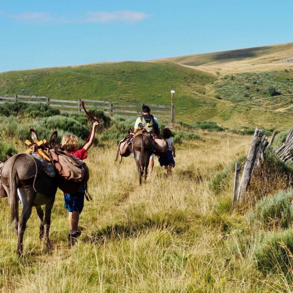 © roswitha képéklian