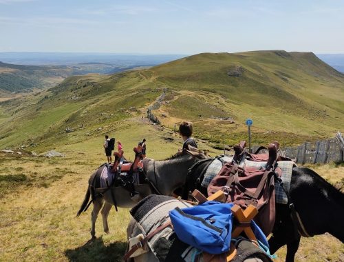 rando-ane-auvergne-03