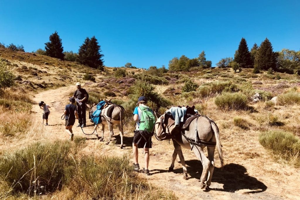 rando-ane-auvergne-06